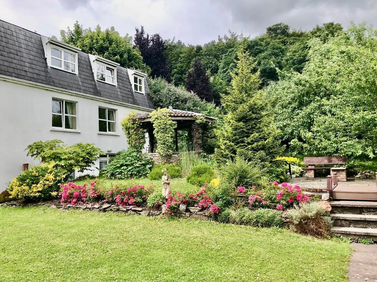 Belvedere Lodge Cork 4*,