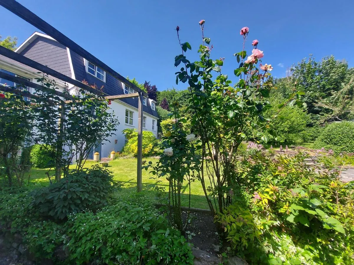 Belvedere Lodge Cork 4*,
